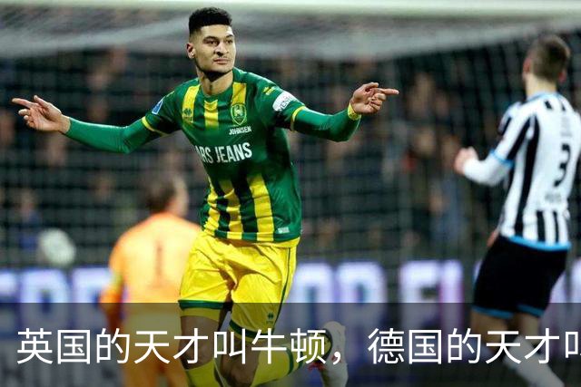 英国的天才叫牛顿，德国的天才叫爱因斯坦，那中国的天才叫什么？